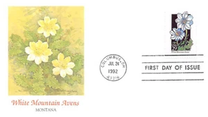 FDOI WildflowersI MISSOURI - Pantalones Holandeses, MONTANA - Mountain Avens - Imagen 1 de 4