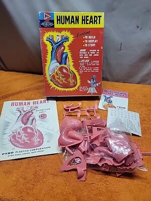 W•Vintage 1950s PYRO Model Kit The Human Heart Kit C 372-300 - Image 1 of 4