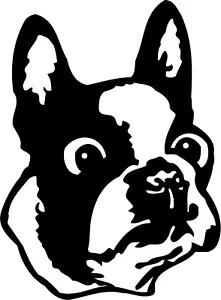 2 - Boston Terrier Hund Original Gesichtsansicht Vinyl Aufkleber Sticker Auto Fenster Laptop - Bild 1 von 4