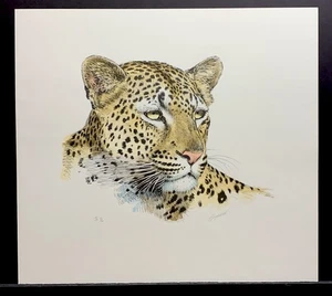 HTF Guy Coheleach Limited Edition Hand Signed Print “Leopard Portrait” AP 8/12 - Picture 1 of 3