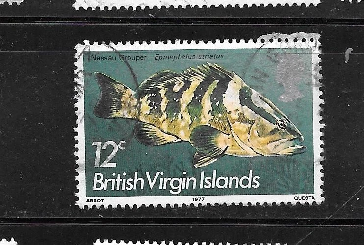 ISLAS VÍRGENES BRITÁNICAS SC#290 1975 12c PECES EN MUY BUEN ESTADO USADO SELLO TÓPICO DEFINITIVO ANTIGUO Foto 1 de 1