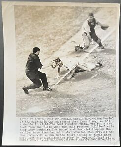 St. Louis Cardinals Baseball 1949 Year Vintage Sports Photos for 