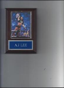 AJ LEE PLAQUE WRESTLING WWE DIVA WITH BELT NXT FCW