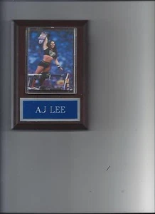 AJ LEE PLAQUE WRESTLING WWE DIVA WITH BELT NXT FCW - Picture 1 of 1