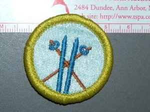 Insignia de mérito de Boy Scout esquí (esquís azules) 2996M - Imagen 1 de 1
