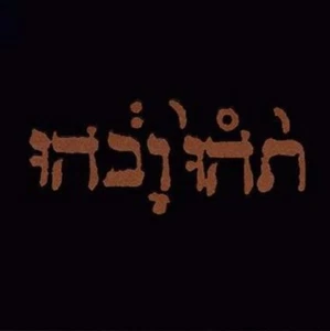 Godspeed You! Black Emperor Slow Riot for New Zero Kanada (Vinyl LP) 12" Album - Foto 1 di 1
