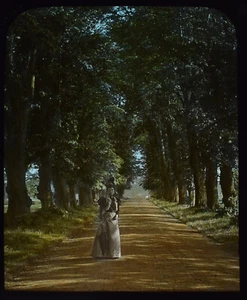 HAMPTON COURT PALACE NO3 LADY IN THE AVENUE C1900 Magic Lantern Slide PHOTO - Picture 1 of 3