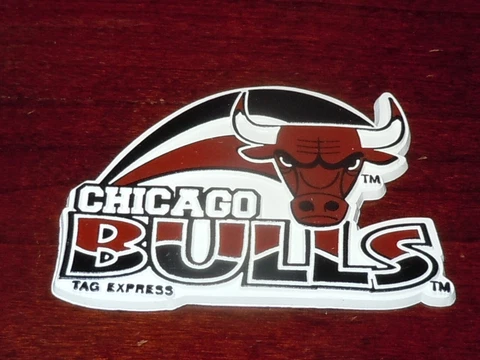 CHICAGO BULLS Vintage Old NBA RUBBER Basketball FRIDGE MAGNET Standings Board Cover