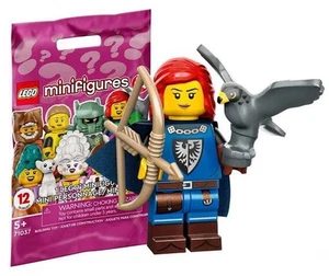 LEGO Falconer Minifigure Series 24 CMF 71037 col416 minifig - Picture 1 of 2