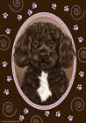 Paws House Flag - Brown and White Portuguese Water Dog 17488