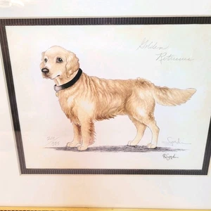 Vintage nummerierter Künstler signiert gerahmtes Portrait Golden Retriever Welpe Hund Kunstdruck - Bild 1 von 6