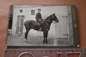 gran foto antigua del gabinete - jinete con caballo - Hannover?? Celle 1900-20 - Imagen 1 de 4