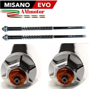 Cartridge Fork Honda DN 01 2009 Andreani Misano Evo Motorcycle Adjustable Fork - Picture 1 of 1