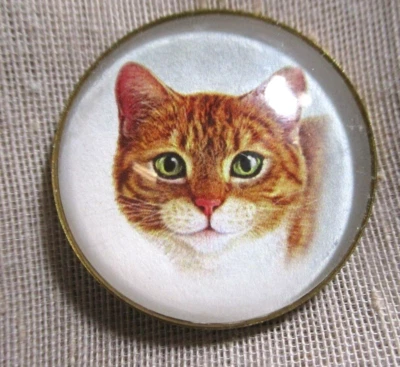 LRG CRISTAL CÚPULA PIC BOTÓN HERMOSO GATO VERDE-OJOS NARANJA Y BLANCO 1-1/4 PULG Foto 1 de 2