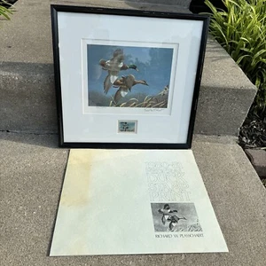 1980-81 Federal Malla Duck Stamp Print Wild Wings Richard W. Plasschaert firmato - Foto 1 di 14