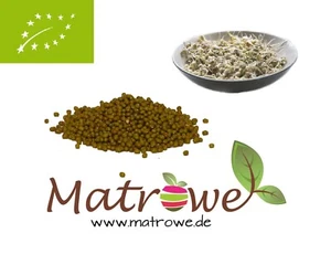 Bio Mungobohnen 250g Keimsaat Keimlinge Keimsprossen Saat Sprossen - Bild 1 von 1