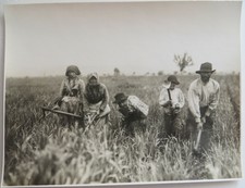1920 SPLENDITA FOTO LUIGI PRETE PIPERNO TERRACINA LATINA AGRO PONTINO MONDARELLA