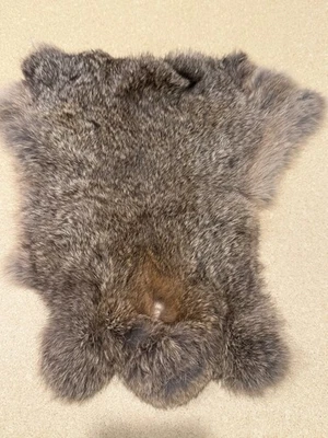 Piel de conejo genuina vintage 14” X 9” gris marrón Foto 1 de 4