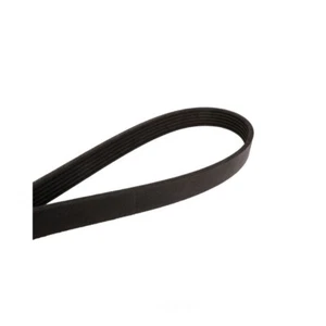 Cinturón Serpentine Cadna 825K5 - Imagen 1 de 1