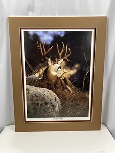 Tom Mansanarez Solitude White-Tailed Deer Wildlife Art Print Signed - Picture 1 of 11