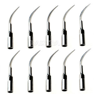 10 X Dental Ultrasonic Scaler Perio Scaling Tip P1 For EMS/WOODPECKER Handpiece