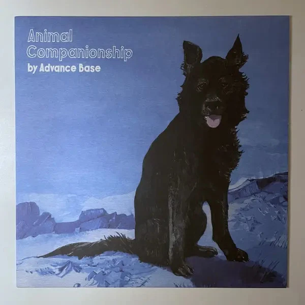 Advance Base Animal Companionship CLEAR BLUE SWIRL VINYL NEAR MINT Vinyl LP - Bild 1 von 1