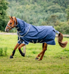 Horseware Amigo 1200D Original (Bravo 12) Turnout Plus 100g Weide Decke Navy/Tit - Picture 1 of 5