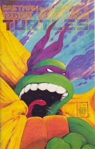 Teenage Mutant Ninja Turtles #22 Jun 1989 Mirage Studios TMNT Comic Book (FN+) - Picture 1 of 1