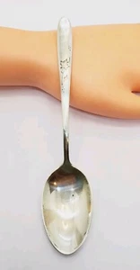 REED & BARTON STERLING "HERBSTBLÄTTER" TISCH-/SERVIERLÖFFEL - 30gr (38) - Bild 1 von 7