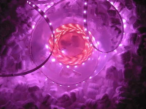1m LED STRIP STRISCIA ROSA VIOLA PINK 12V 60LED/m - Imagen 1 de 1