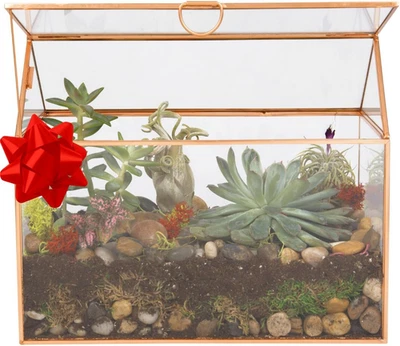 Glass House Centerpiece (10"X6"X8") - Tabletop Planter Terrarium for Home Decor  - Image 1 of 4