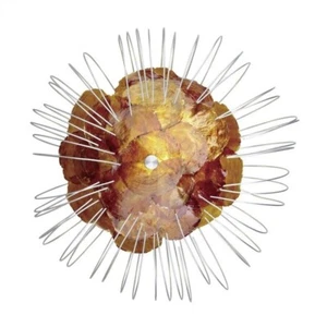 EGLO Edi Light 52194 Toxic Wandleuchte Sonne E27 max. 60W Ø350mm Kalkmuschel - Bild 1 von 3