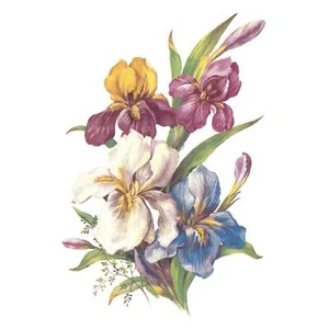 Flowers Iris Overglaze Ceramic Decals - Picture 1 of 7