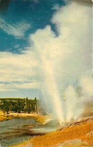 Postal del Parque Nacional de Yellowstone Wyoming WY Riverside Geyser Firehole River - Imagen 1 de 2