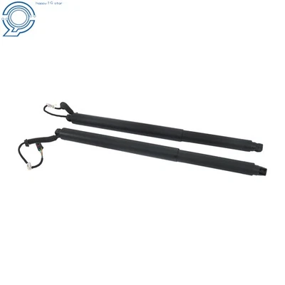 Traje para Nissan Murano 2015-2020 varilla de soporte de puerta trasera eléctrica LH RH 905605AA1A Foto 1 de 4