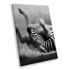 Animal Portrait Modern Canvas Picture Print Wall Art Black White Rolling Zebra