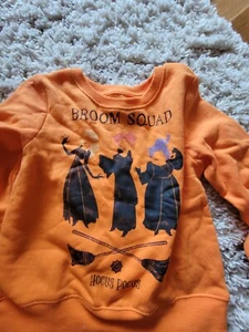 Disney Hocus Pocus Unisex Kids' Halloween Broom Squad Sweatshirts Orange 6x - Picture 1 of 3