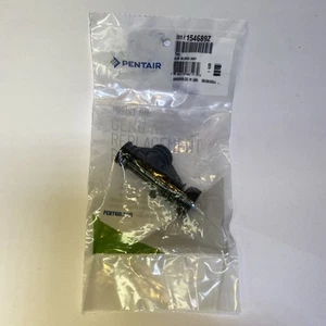 Pentair Bleeder Air-Tee Assembly 154689Z - Picture 1 of 1