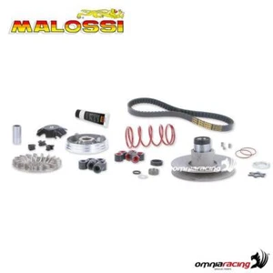 Malossi gruppo trasmissione completo Over Range Malaguti F12-Phantom 50 2T LC - Bild 1 von 8