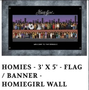 DGA HOMIES BANNERS HOMIEGIRL WALL 3' x 5' DAVID GONZALES ART BANNER FLAG NEW - Picture 1 of 2
