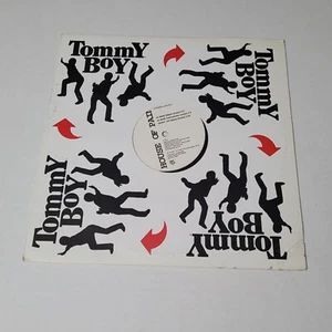 HOUSE OF PAIN - NO DOUBT / REACHIN' OUT / X-FILES (12")  1996 - Picture 1 of 4