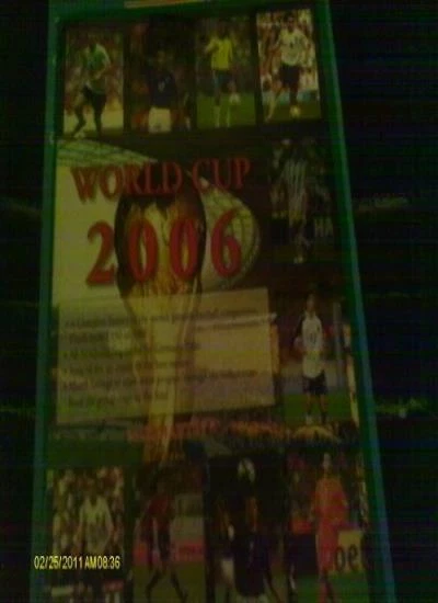 World Cup 2006,Neil Martin - Image 1 of 1