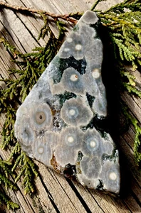 103,2g RARO DIASPRO ORBICOLARE NATURALE LUCIDO ESEMPLARE CURATIVO Madagascar - Foto 1 di 5