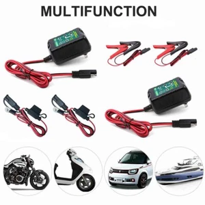 Maintenance-free Battery Charger 6V/12V 1.5A 20W Output For Electric Car - Picture 1 of 11