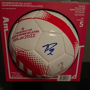 JONATHAN DAVID firmato Canada 2022 COPPA DEL MONDO pallone da calcio (Ligue 1 Lille) - Foto 1 di 7