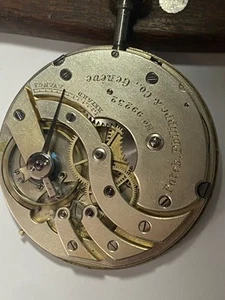 Movimento Patek Phillipe 41MM - Picture 1 of 15