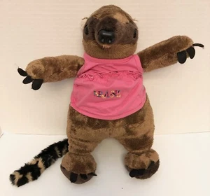 Brasil Boutique COATIMUNDI Coati mapache mexicano peluche sin cachorro juguete de peluche J12 - Imagen 1 de 3
