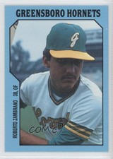 1985 TCMA Minor League Rosario Zambrano #988