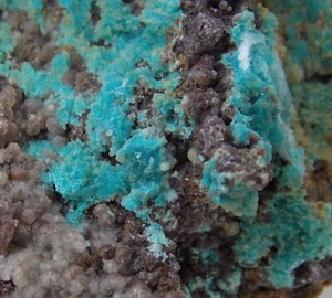 CALCITA DRUSA SOBRE CRISOCOLA - 6,7 cm - HELVETIA, ARIZONA 23431 - Imagen 1 de 7