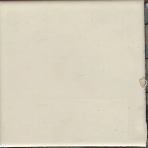 Bone White Tile 3 7/8" x 3 7/8" Glossy Bathroom Wall Mosaic Ceramic C#512 1 Pc - Picture 1 of 1